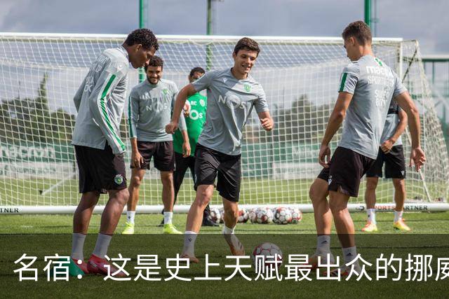名宿：这是史上天赋最出众的挪威队 哈兰德每年都在突破个人上限
